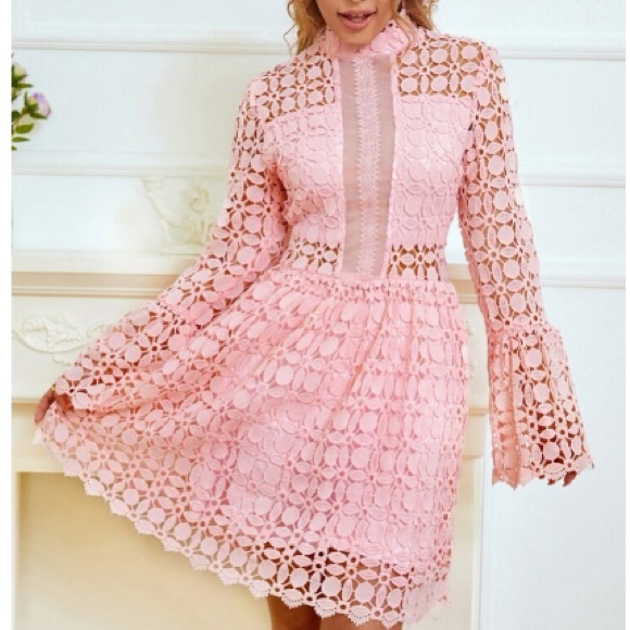 Luxurious mesh insert lace dress - Picture 1 of 6